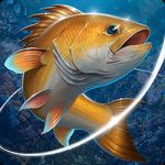 Fishing hook mod apk unlock aquarium v2.5.2